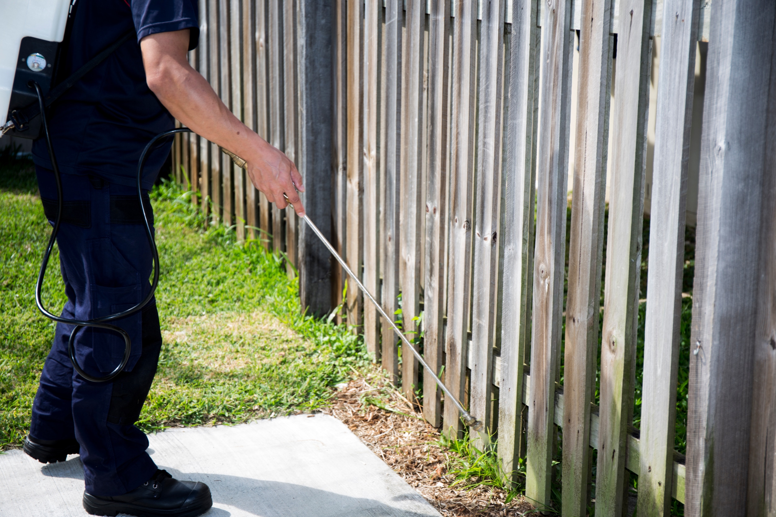 Technician spraying for pest control in resident’s yard