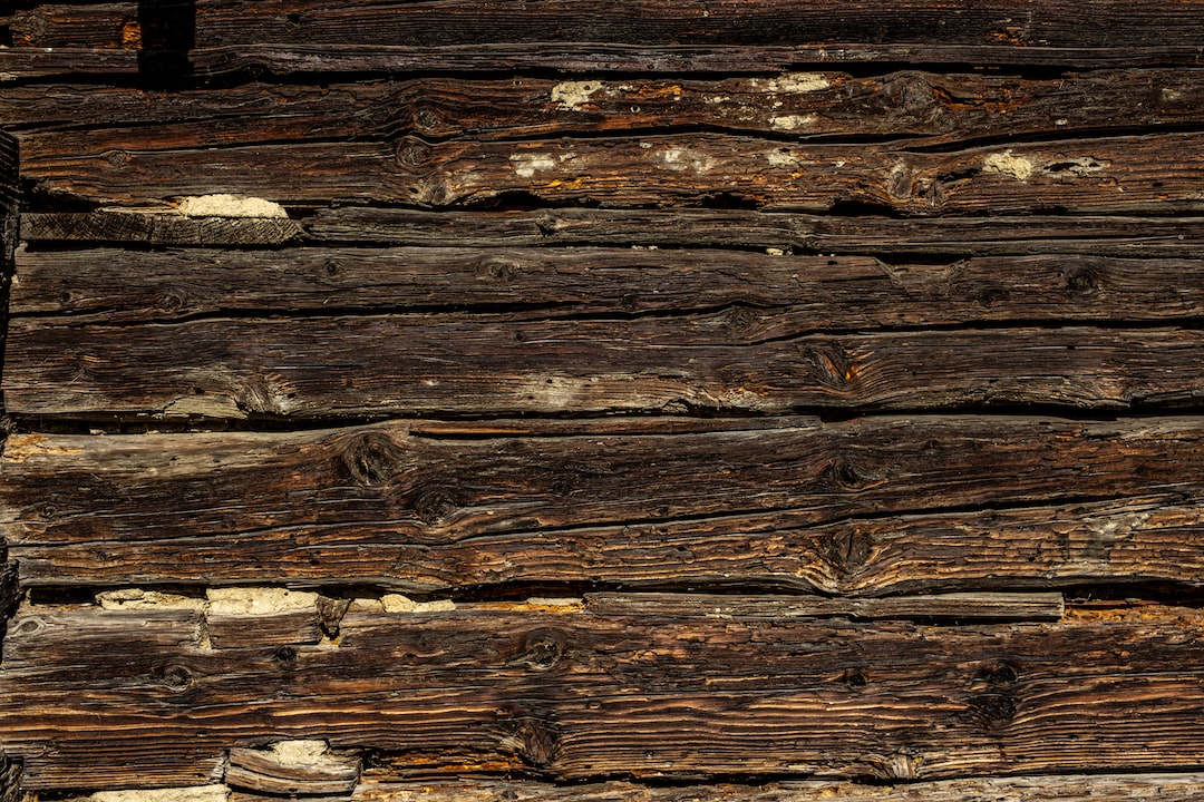termite infested wood