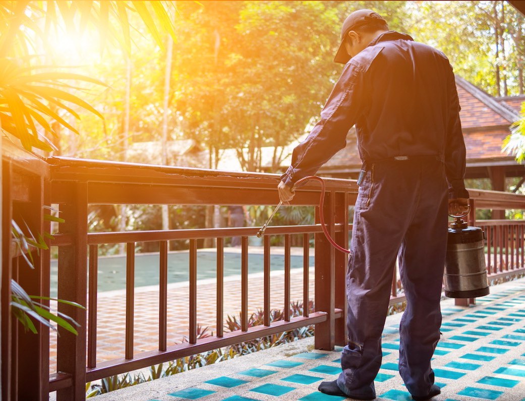 pest control technician spraying backyard