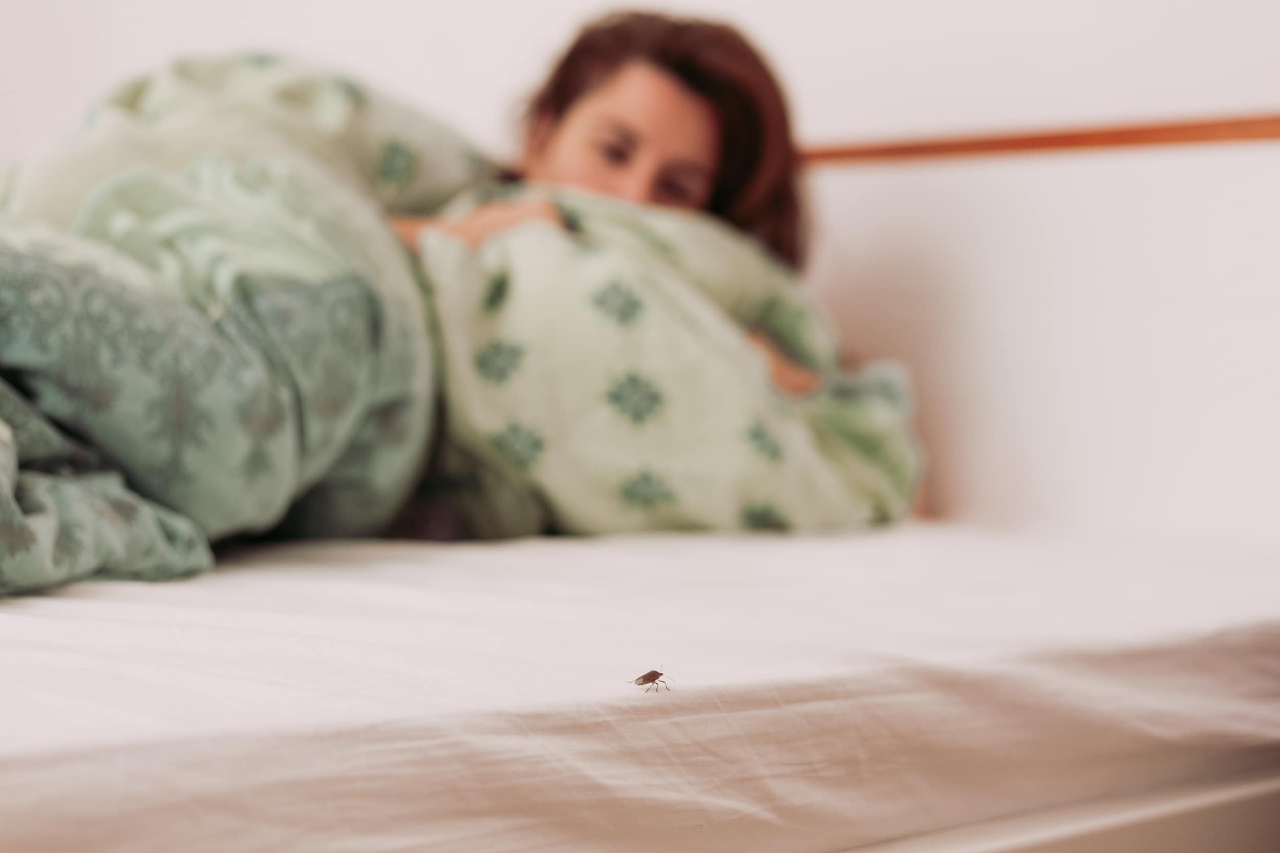 Woman sharing bed with beg bugs at home